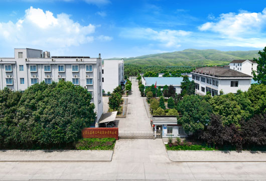 香港全年最全免费资料大全